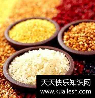 不吃主食有什么危害-汇美优普